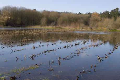 GettyImages-1201402631