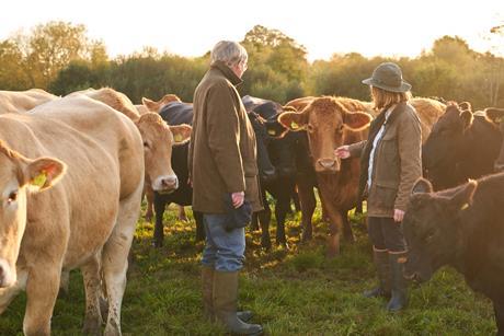 GettyImages-1282854396