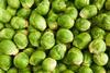 brussel sprouts christmas veg
