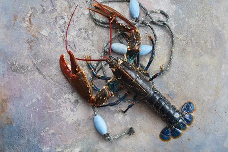 The Lobster Pot (lobster)