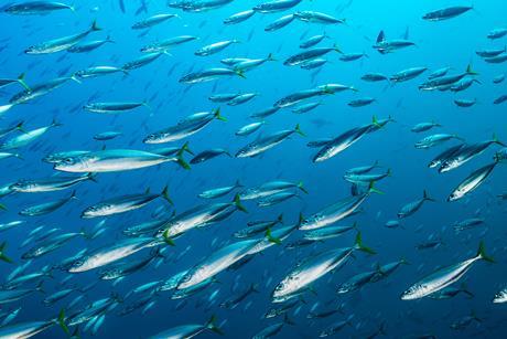 GettyImages-1505913391