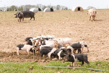 GettyImages-91718380