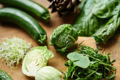 david_plas_34873_211032 resize