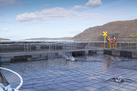 GettyImages-141336940