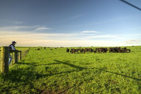 Thomas Foods Image 4