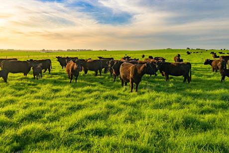 Thomas Foods Image 5