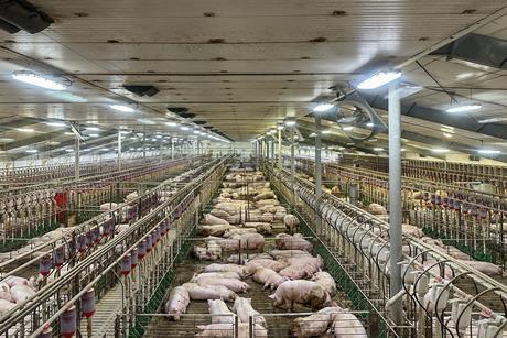 GettyImages-2215956913