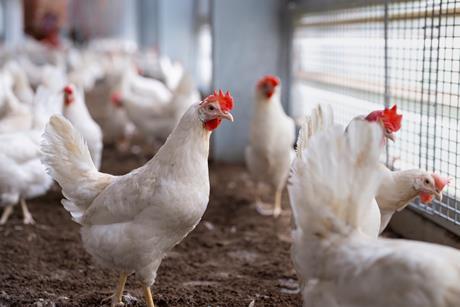 GettyImages-2215291121