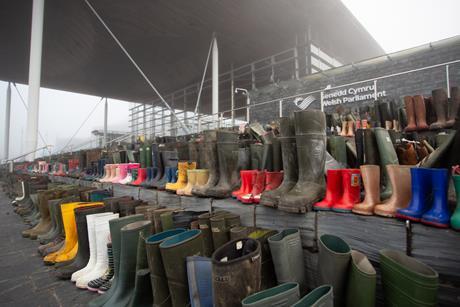 Senedd Wellies