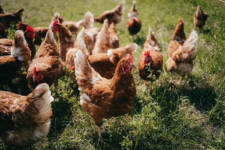 GettyImages-1453947005 (1)