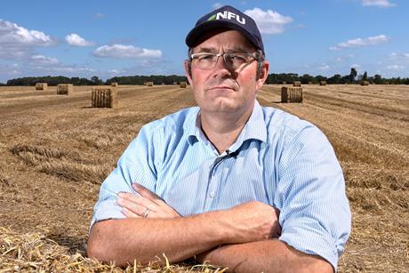 Tom_Bradshaw_straw_bale_03