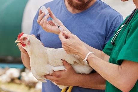 GettyImages-1391705336