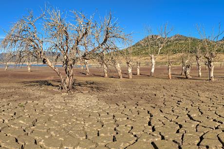 GettyImages-1471369954