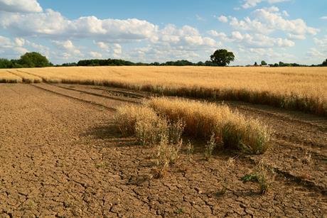 GettyImages-1013082412