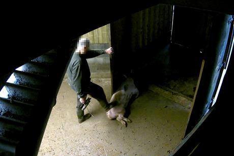 54688623489_e4109411ed_o