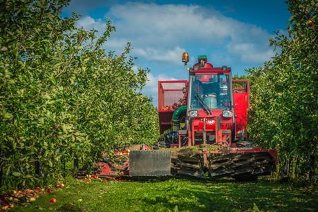 Thatchers Apple Harvest