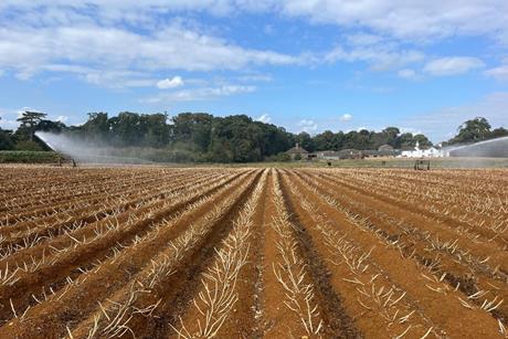 Irrigating to harvest in Suffolk