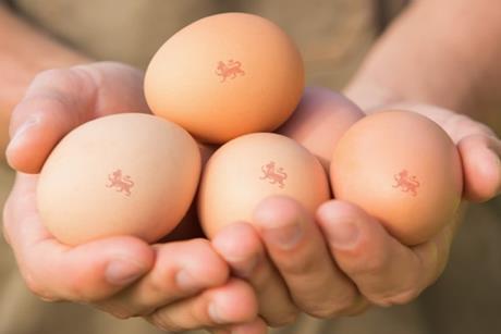 british lion eggs beic