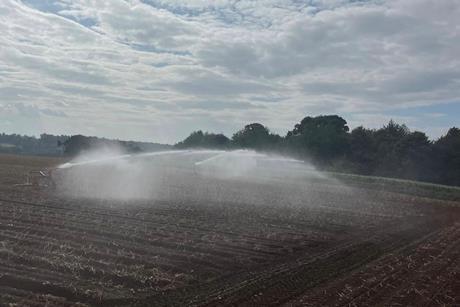 Irrigating New Season Maris Piper in Suffolk