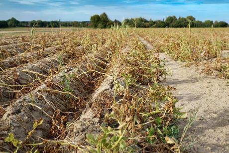 GettyImages-2159220937