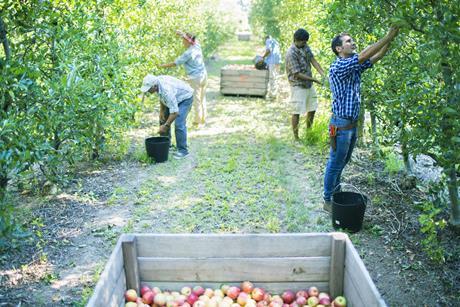 GettyImages-187202063