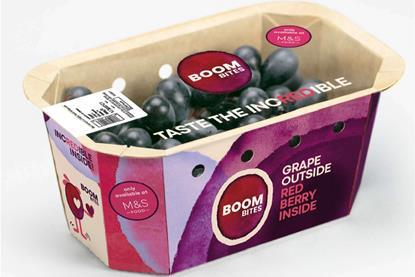BOOMBITES™ Packaging (1)