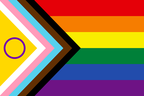 Progress pride flag