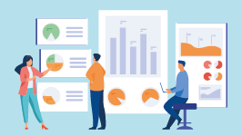 Category and sector reports